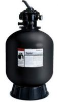 Tagelus Black